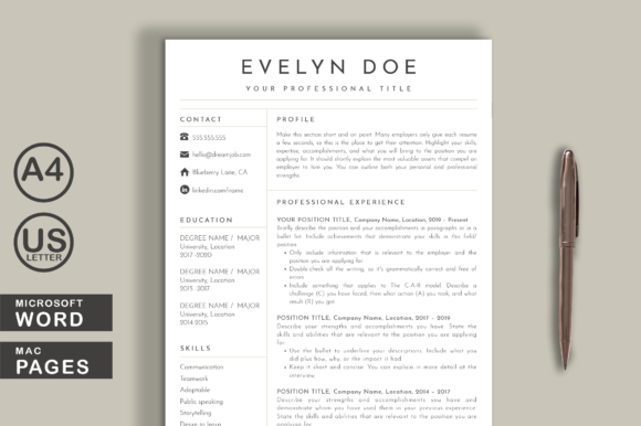 Download Clean Resume Template Word Pages - Premium Resources