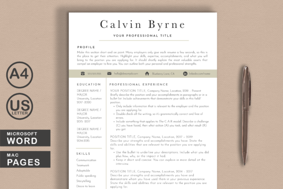 Download Clean Resume Template Word Pages - Premium Resources